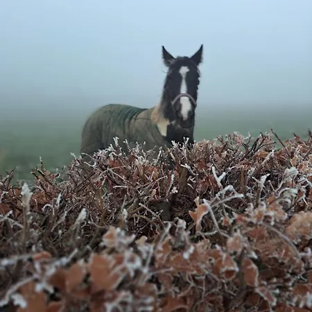 The Ranch Дом отдыха