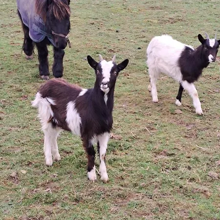 The Ranch בית נופש
