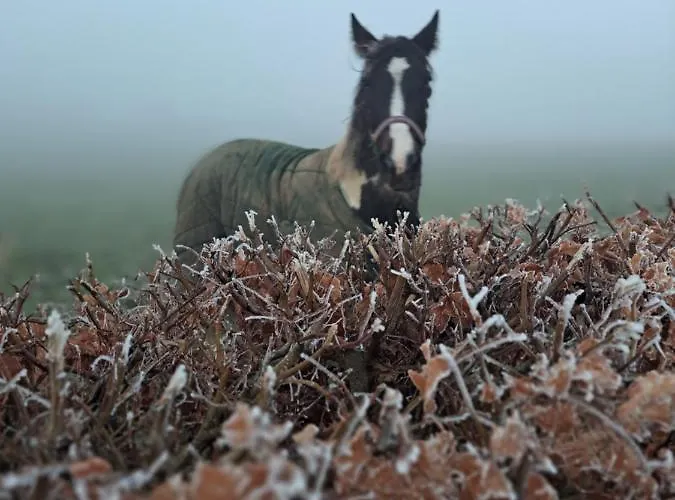 The Ranch Casa de Férias