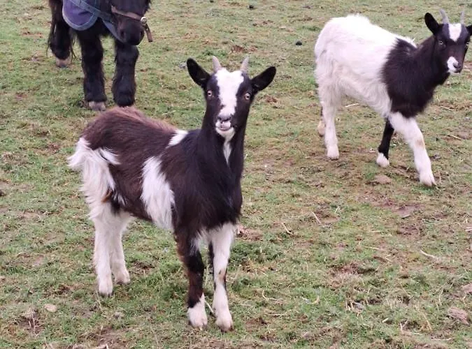 The Ranch Casa de Férias